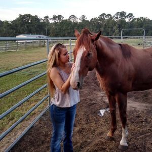 Meet your Posher, Dallas